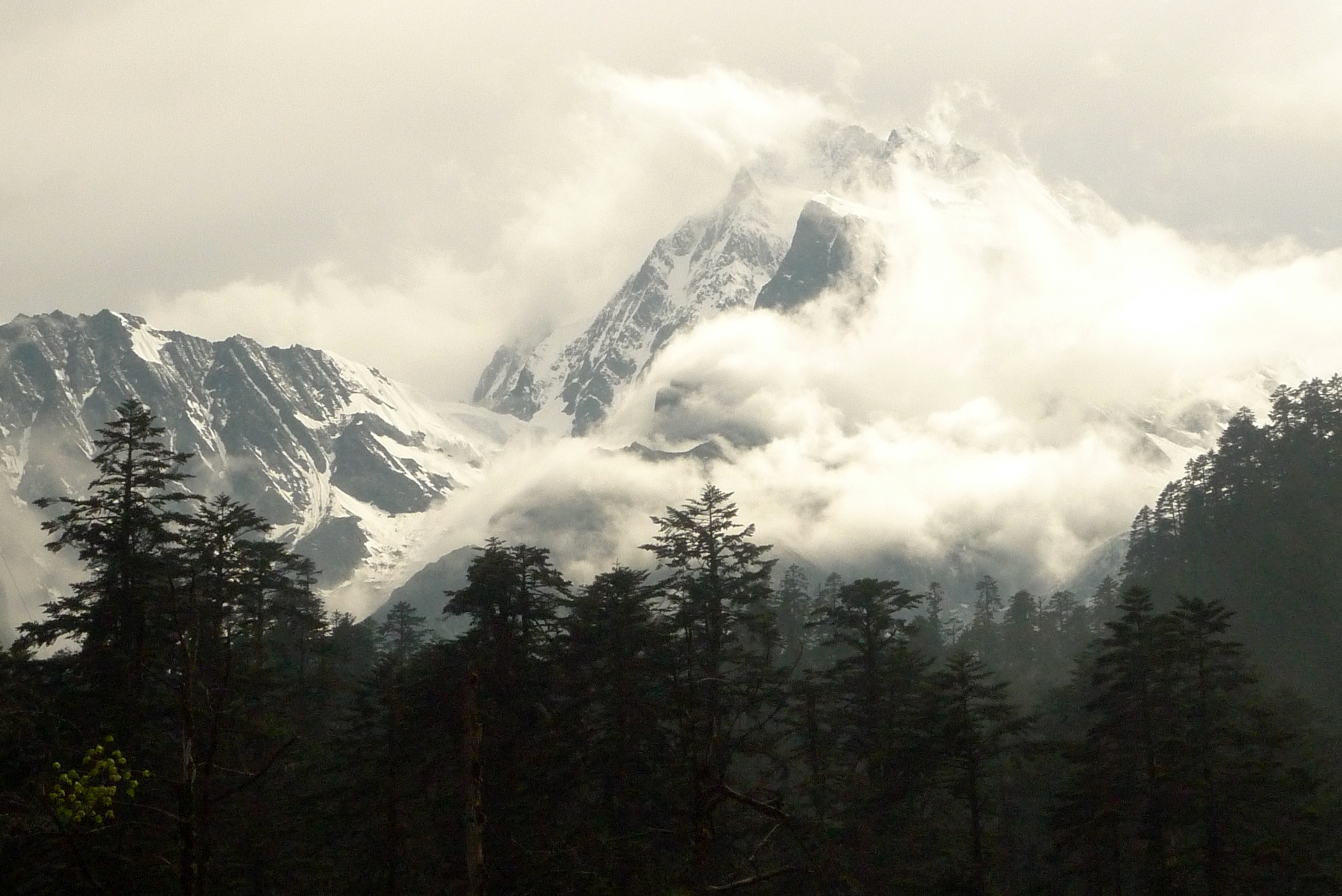 云雾中的贡嘎雪山与山麓森林